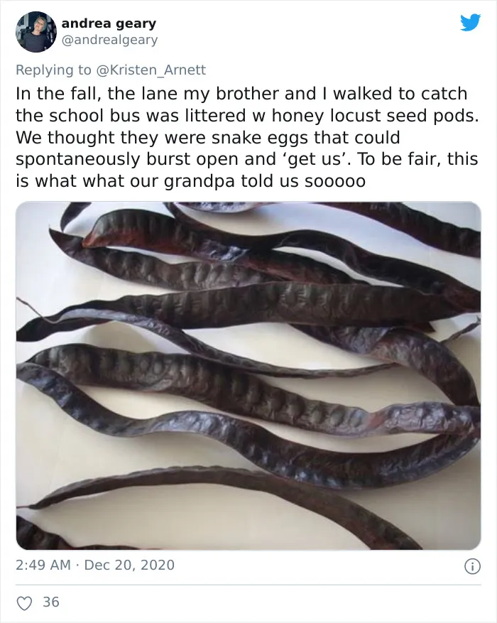40 Of The Best Naive Beliefs That People Had In Their Childhood, According To This Twitter Thread
