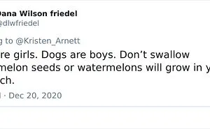 40 Of The Best Naive Beliefs That People Had In Their Childhood, According To This Twitter Thread