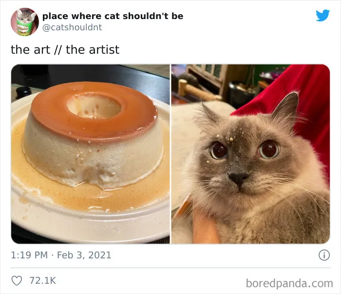 True Artist