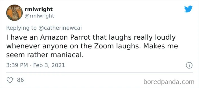 50 Funny Tweets From People Who Are So Done With Zoom Calls