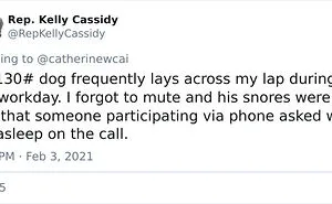 50 Funny Tweets From People Who Are So Done With Zoom Calls