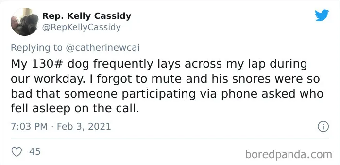 People-Tired-Of-Zoom-Video-Calls-Working-From-Home-Tweets