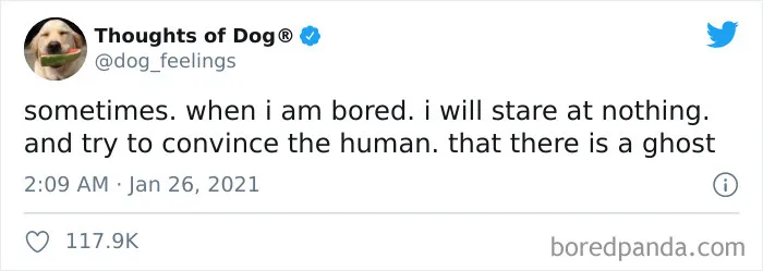 40 Of The Most Hilarious And Wholesome Dog Thoughts, As Shared By This Twitter Account (New Pics)