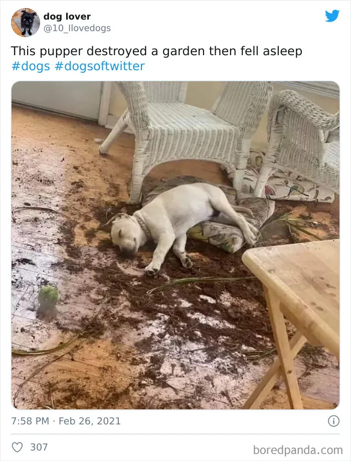 That Took Much Effort