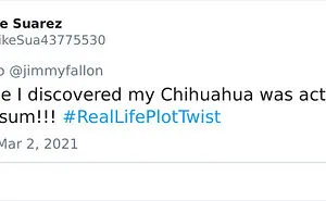 40 Of The Most Curious "Real Life Plot Twists", As Shared By People For Jimmy Fallon's Challenge