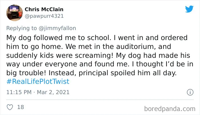 40 Of The Most Curious "Real Life Plot Twists", As Shared By People For Jimmy Fallon's Challenge
