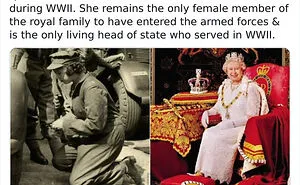 50 Random Facts That Sound Fake But Aren't, Shared By This Twitter Account