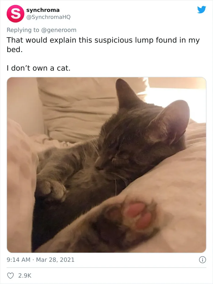 40 "My Cat, Not My Home" And "My Home, Not My Cat" Tweets About Cats That Do What They Want