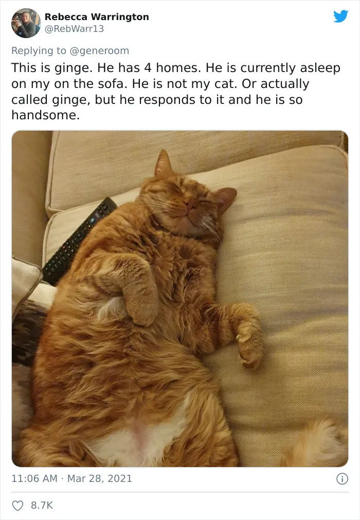 40 "My Cat, Not My Home" And "My Home, Not My Cat" Tweets About Cats That Do What They Want