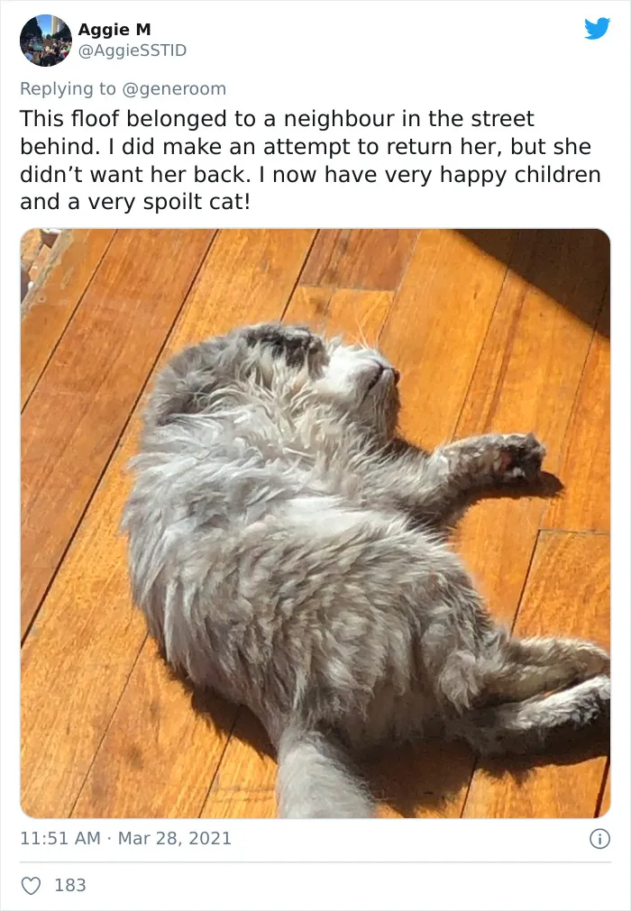 40 "My Cat, Not My Home" And "My Home, Not My Cat" Tweets About Cats That Do What They Want