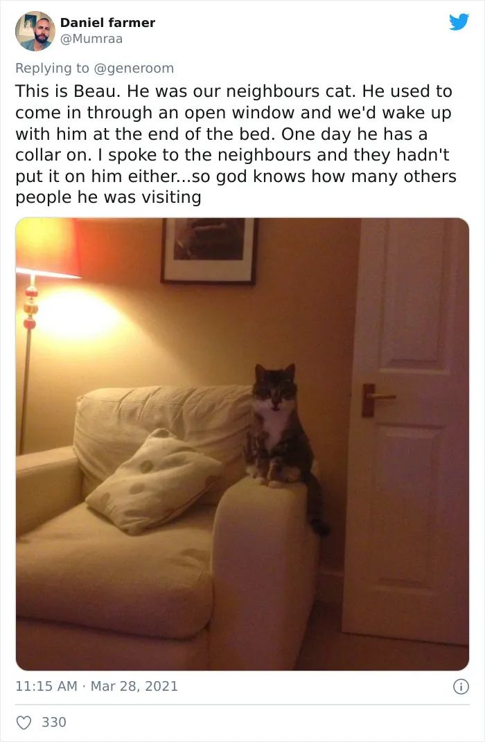 40 "My Cat, Not My Home" And "My Home, Not My Cat" Tweets About Cats That Do What They Want