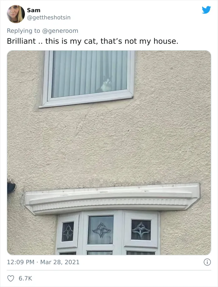 40 "My Cat, Not My Home" And "My Home, Not My Cat" Tweets About Cats That Do What They Want