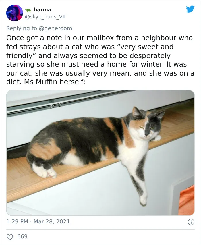 40 "My Cat, Not My Home" And "My Home, Not My Cat" Tweets About Cats That Do What They Want
