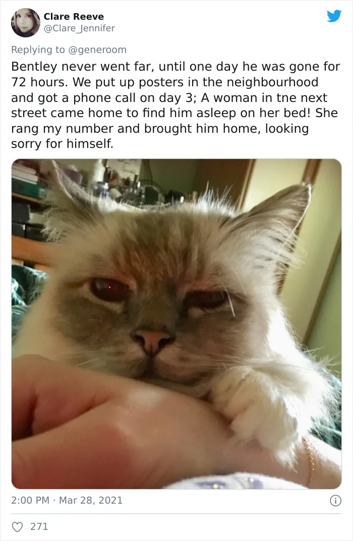 40 "My Cat, Not My Home" And "My Home, Not My Cat" Tweets About Cats That Do What They Want