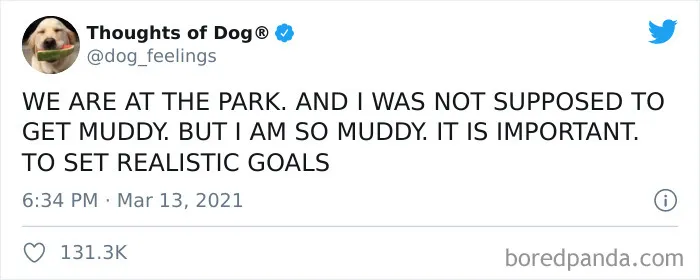 40 Of The Most Hilarious And Wholesome Dog Thoughts, As Shared By This Twitter Account (New Pics)