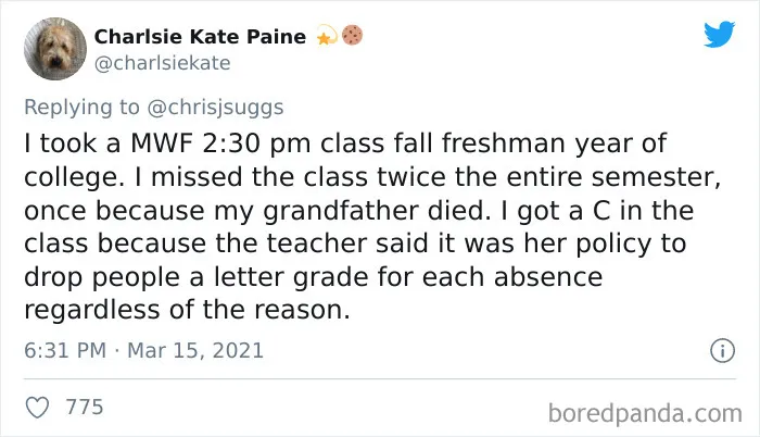 “The Cruelty Is Just So Shocking”: People Are Sharing 30 Times They Had To Deal With Mean Professors