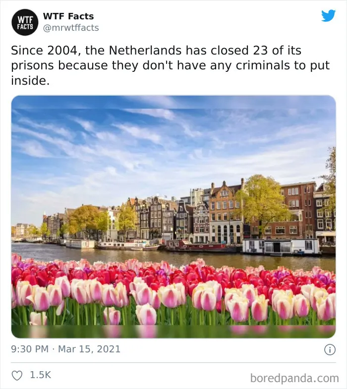 50 Random Facts That Sound Fake But Aren't, Shared By This Twitter Account