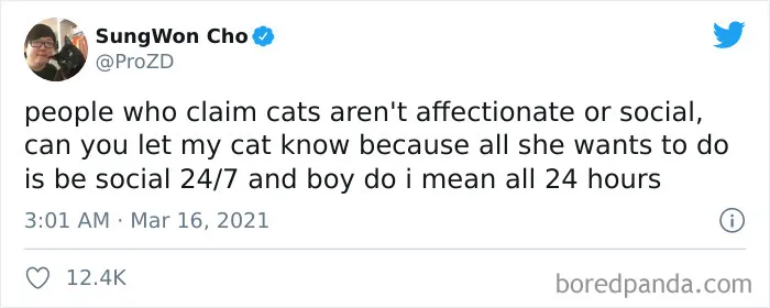 40 Of The Best "Dog People Vs. Cat People" Tweets