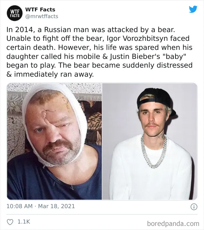Weird-Interesting-Facts