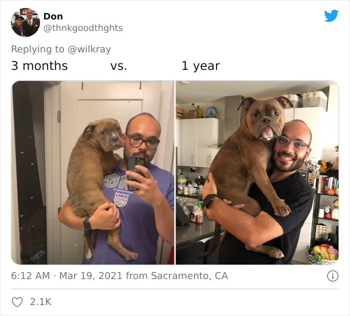 People Are Sharing Sweet 'Then Vs. Now' Photos Of Their Dogs Growing Up Quickly (35 Pics)