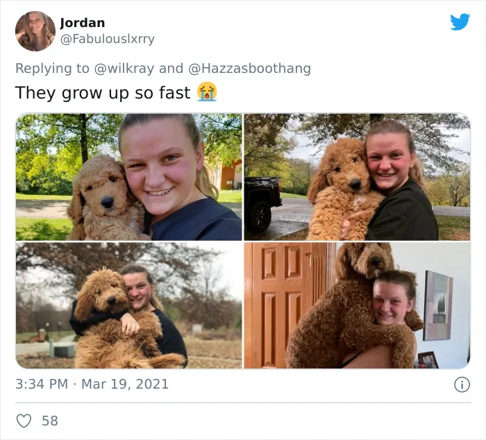 People Are Sharing Sweet 'Then Vs. Now' Photos Of Their Dogs Growing Up Quickly (35 Pics)