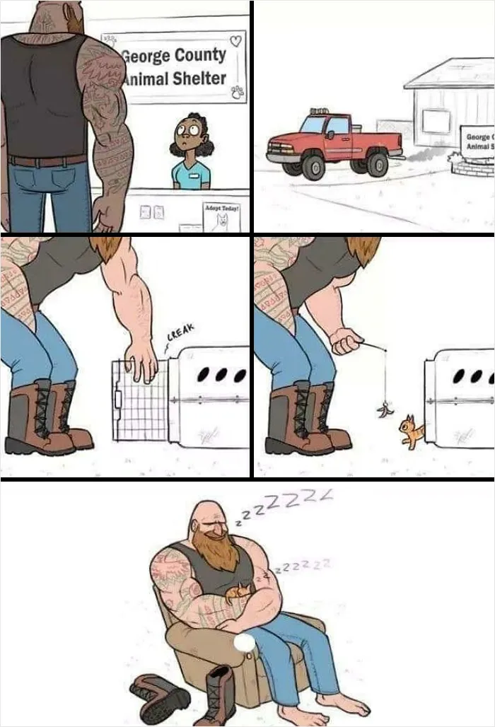 Unexpected Pet