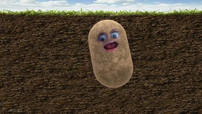 A Potato