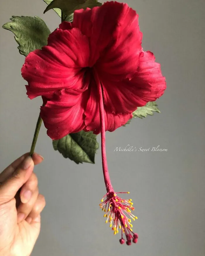 Award-Winning Australian Confectioner Creates Stunning Sugar Flowers (76 Pics)
