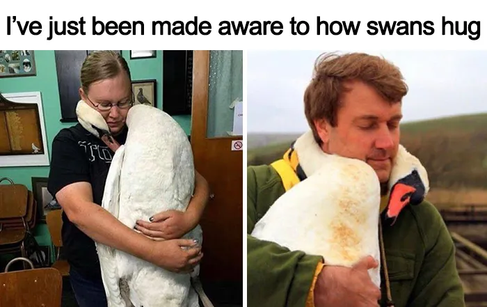 50 Wholesome Memes As Shared By This Page To Brighten Up Your Day