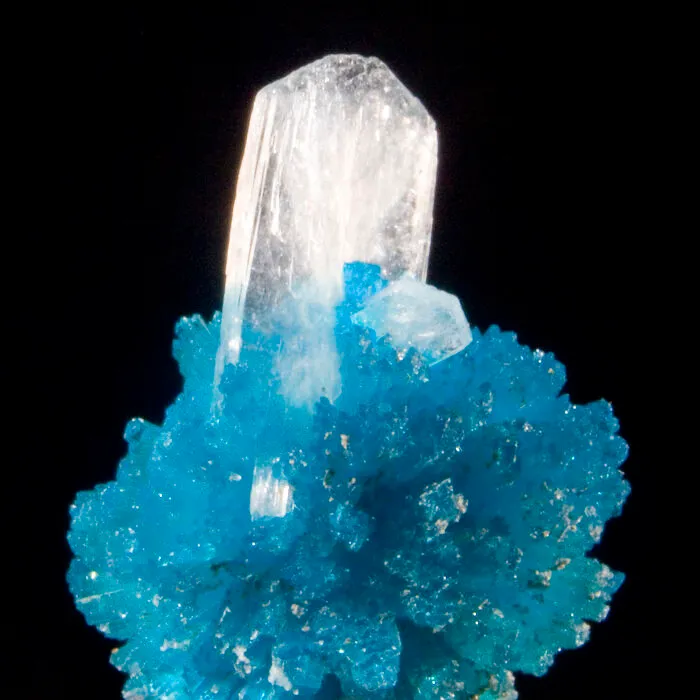 Stilbite On Cavansite. Wagholi Quarry, Pune, Maharashtra, India