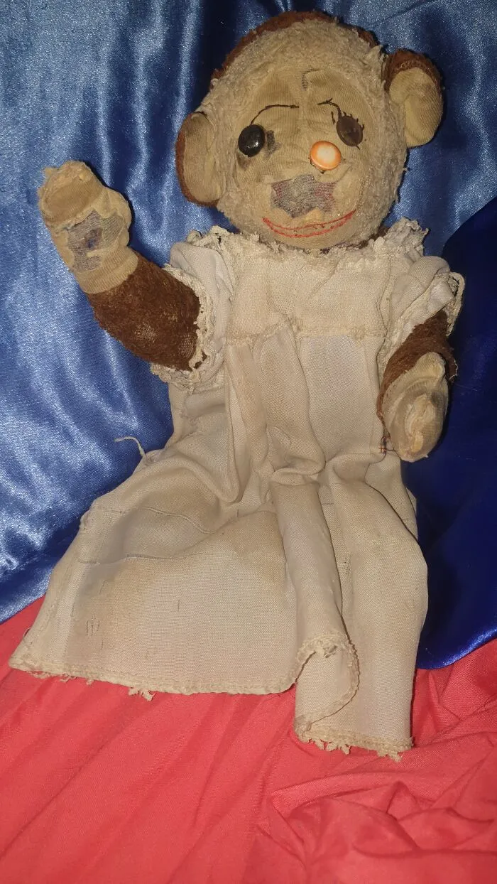 Minnie The Monkey, 42yrs Old (Older Than Me). She Was Originally My Brother's And He Gave Her To Me When I Was Born. She's Been All Over Australia, Had Chicken Pox, Survived A Goose Attack, And Now Lives Peacefully On My Bed.