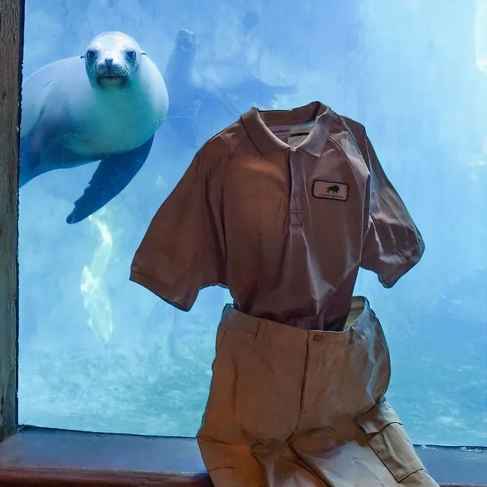 People Are Freezing Their Pants And Other Clothes And It Looks Like The Coolest Science Experiment (40 Pics)