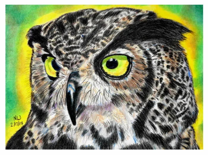 Great Horned Owl In Colored Pencil