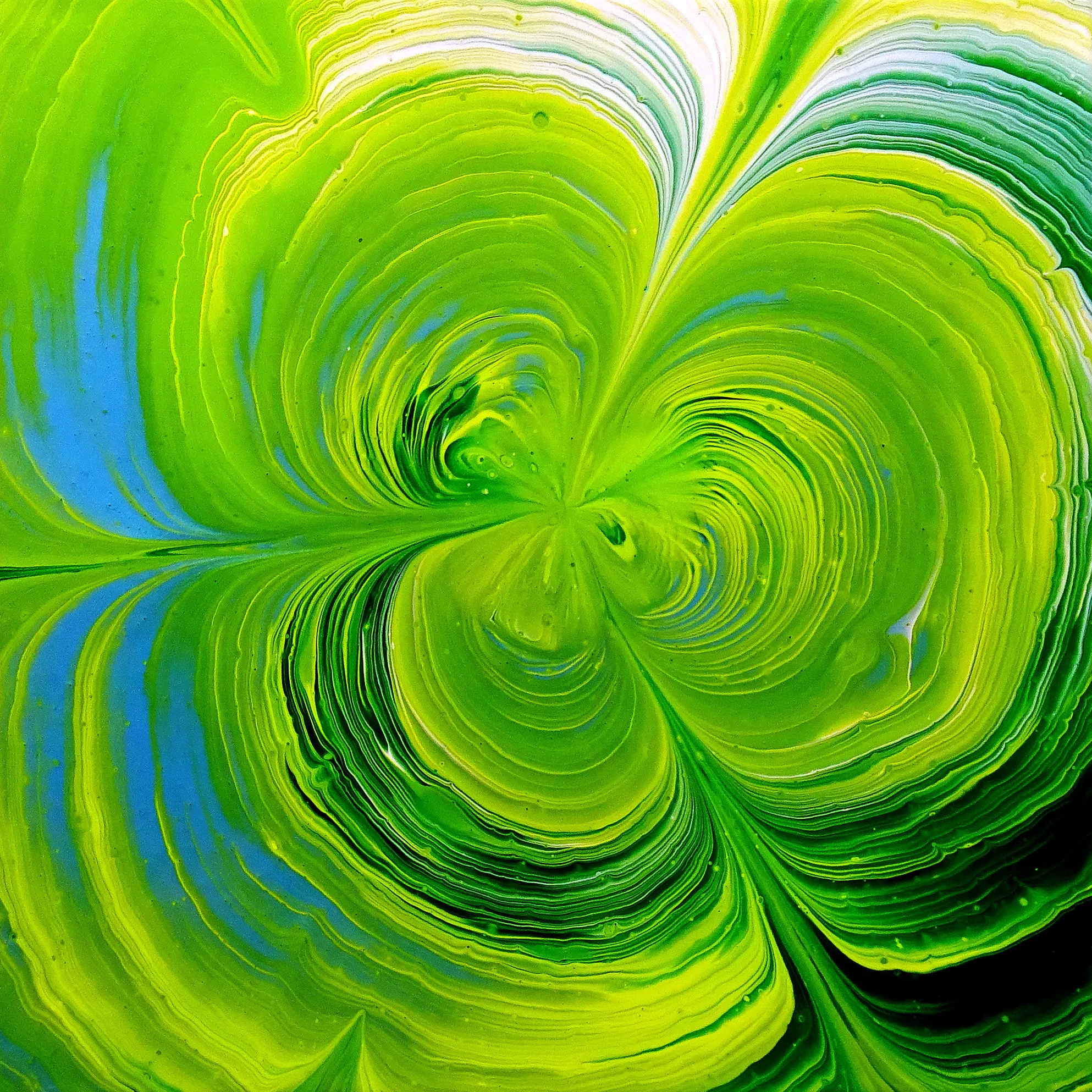 Shamrock ☘️~ Happy St. Patrick's Day! ~ Split Cup Acrylic Pour Painting With Pizza Saver