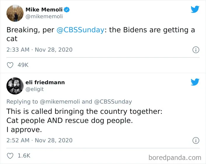 40 Of The Best "Dog People Vs. Cat People" Tweets