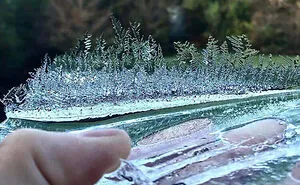 50 'Mildly Interesting' Things Spotted In Nature That Are Actually Surprising (New Pics)