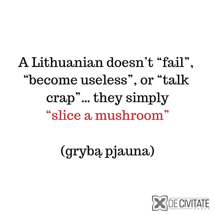 26 Lithuanian Expressions That Sound Absolutely Hilarious When Translated Into English