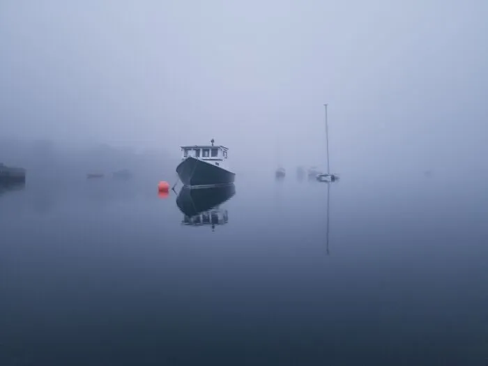Nova Scotia In Fog