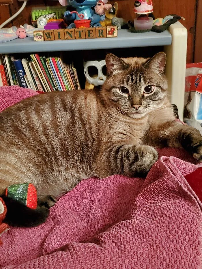 Not His Bed