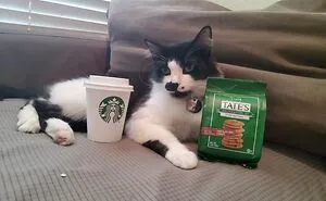 Hey Pandas, What’s Your Rescue Pet’s Name And Picture?