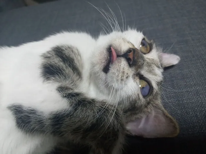 Not Sure What Was In Her Mind