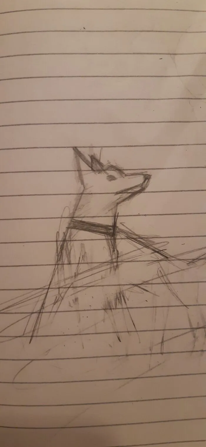 Got Bored At Class And Drew A Dog 🐶