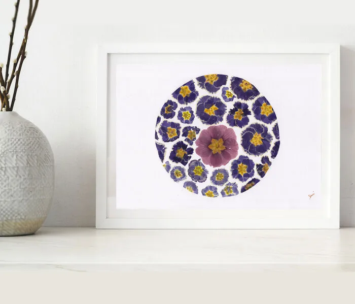 Pressed Primroses In A Circle