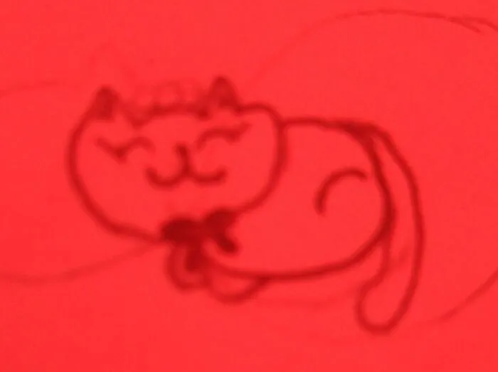 Sorry For The Bad Photo Quality