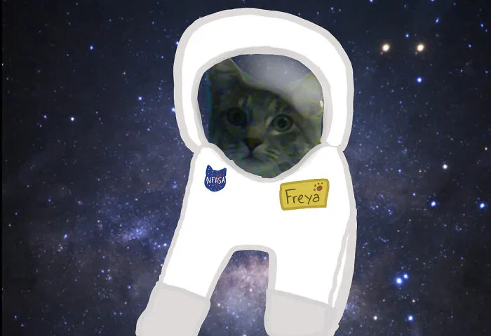Freya Goes To Space!!