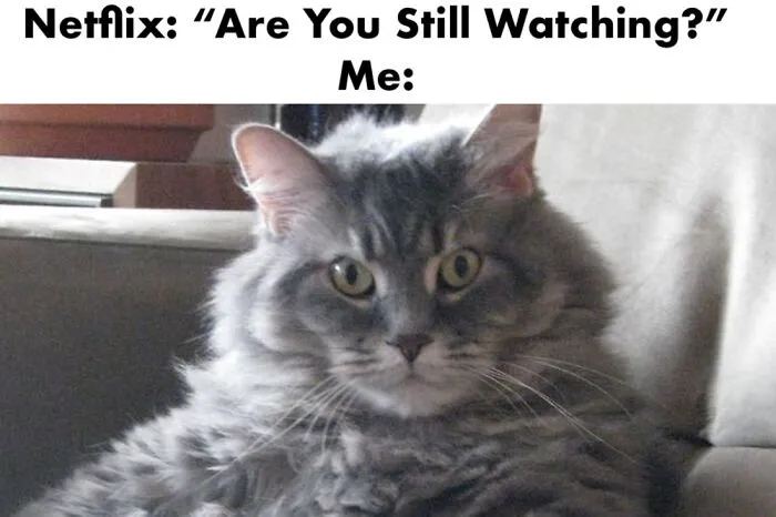This Hits Too Close To Home...