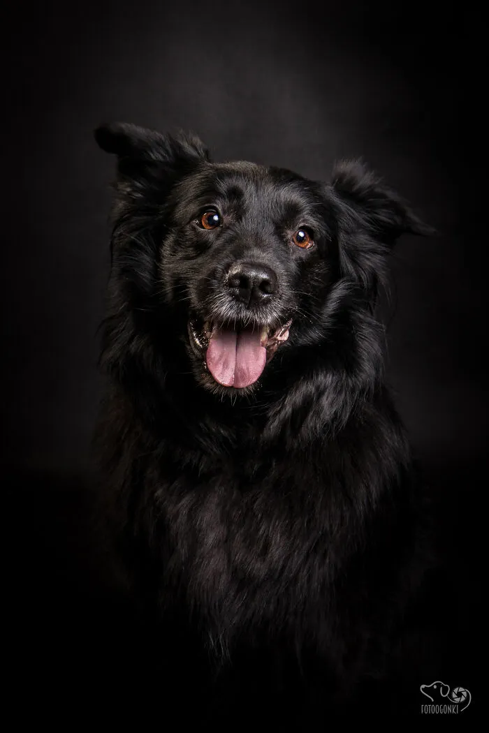 We Invited The Most Unique Models To Our Animal Photography Studio (19 Pics)