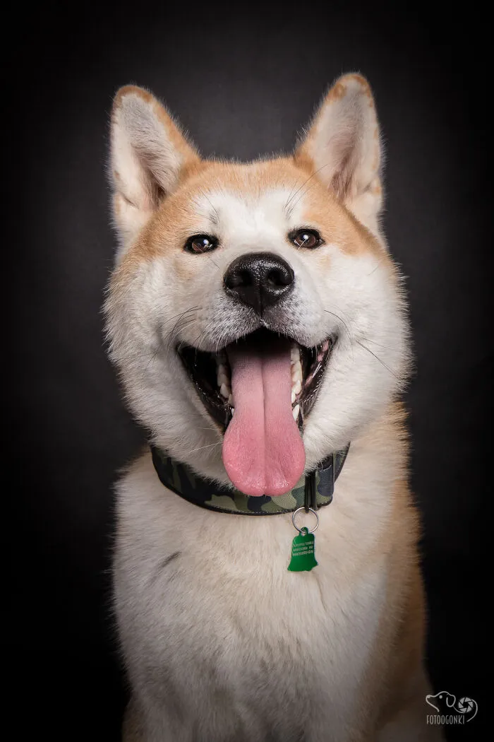 We Invited The Most Unique Models To Our Animal Photography Studio (19 Pics)
