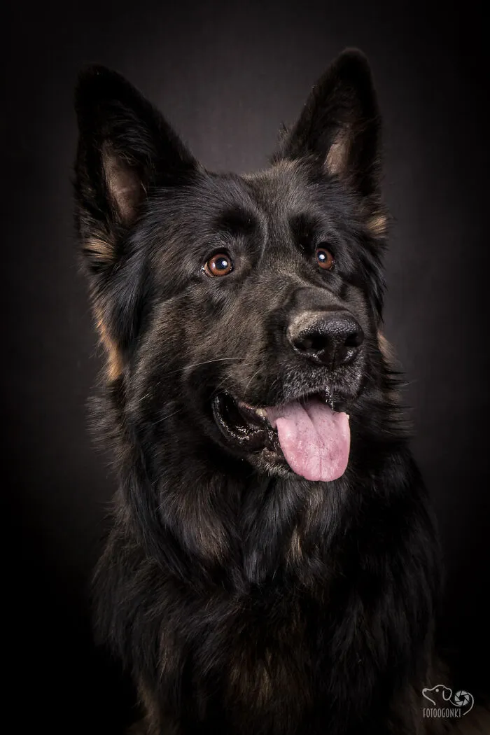 We Invited The Most Unique Models To Our Animal Photography Studio (19 Pics)