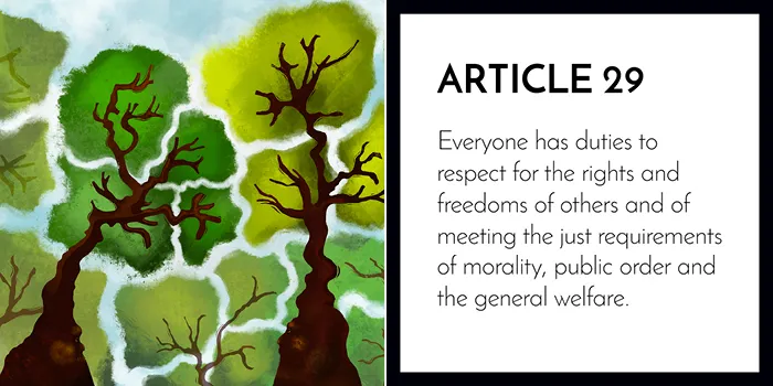 Article 29: Everyone Has The Duty To Respect For The Rights Of Others
